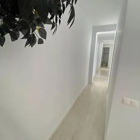 Apartment 24 *